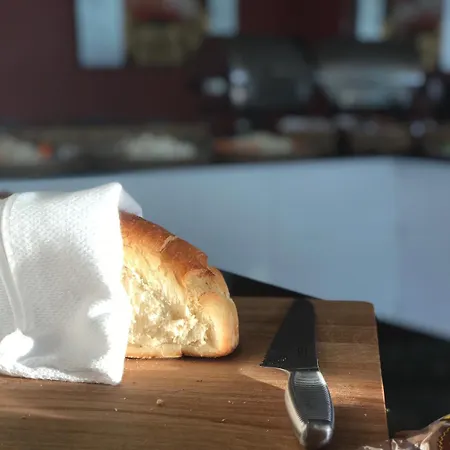 巴哥戴酒店 酒店 4*